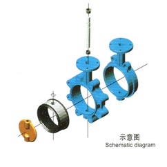 对夹式阀体